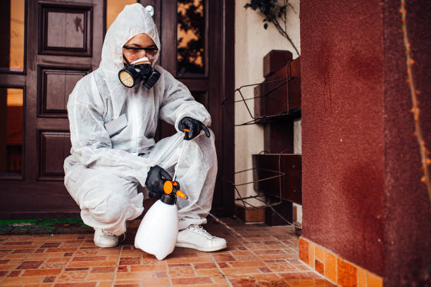 Reliable Cockroach Control contractor in Stigler, OK by Nex Pest Control